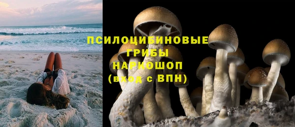 стаф Верхний Тагил
